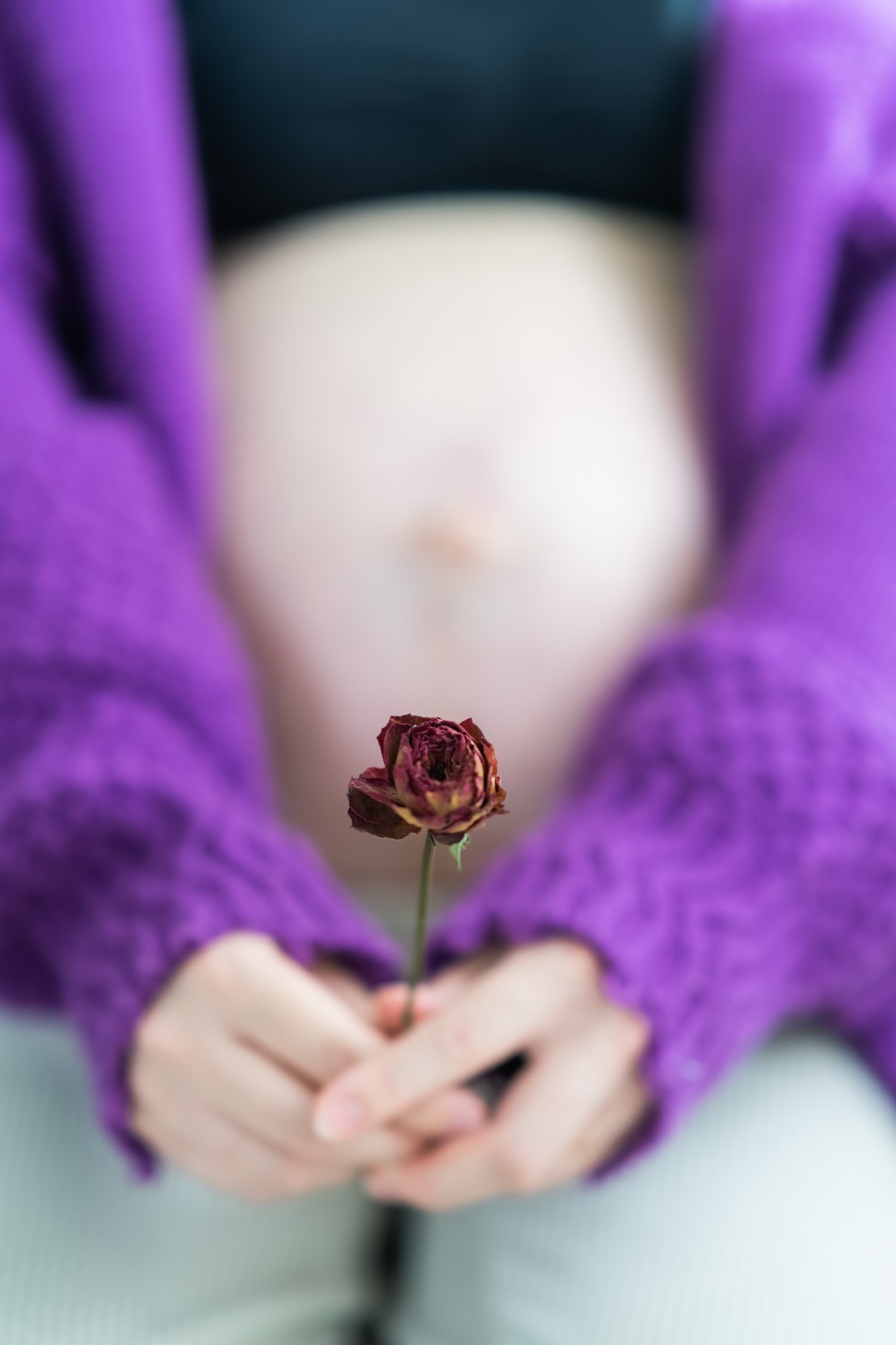 紫のセーターの袖から差し出された、ドライローズの花