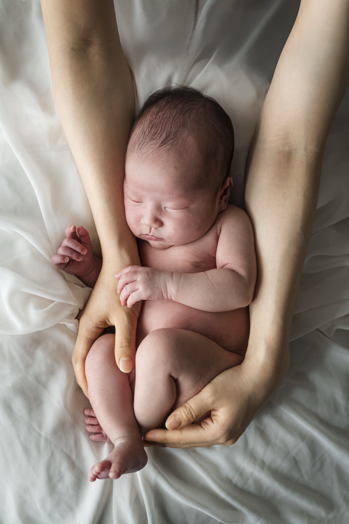 大人の腕に包まれて眠る、生まれたばかりの赤ちゃん