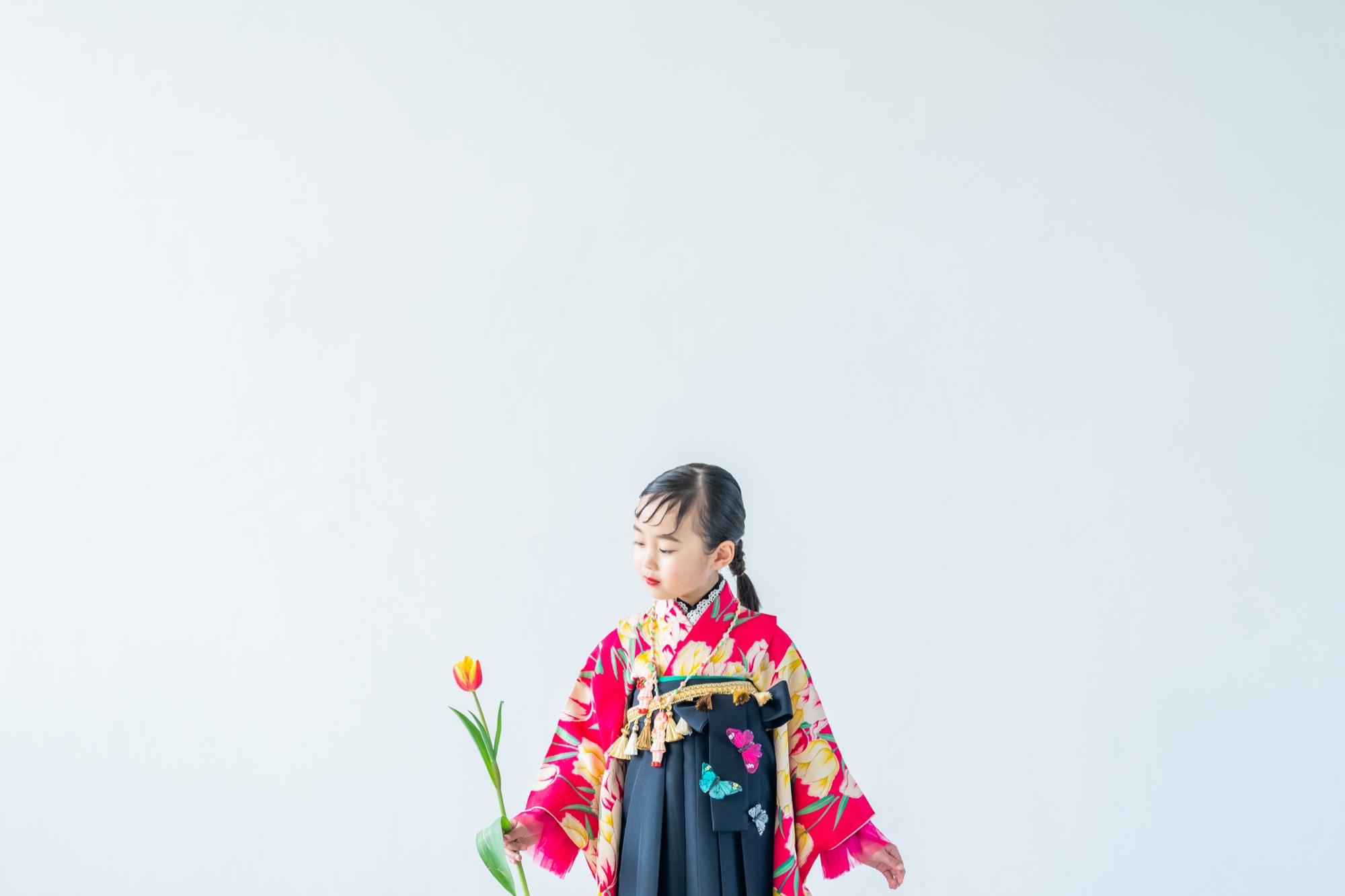 チューリップを一輪持ち、こちらを見つめる七五三の女の子